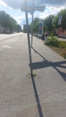 Foto: Schild 