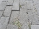 Foto: Straße abgesackt 