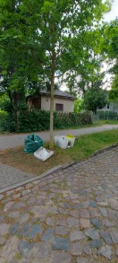 Foto: Wilde Deponie - haus-/sperrmüllartiger Abfall 