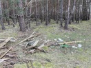 Foto: Scherben und Styropor im Wald  