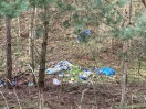 Foto: Müllsäcke im Wald 
