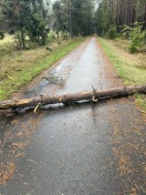 Foto: Weiterer Baum blockiert den Radweg 