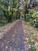 Foto:  Verschmutzter Radweg zw. Neuruppin u. Treskow 
