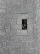 Foto: Gehweg am Nordrand 