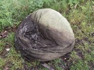 Foto: Sitzsack aus Spree geborgen  