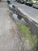 Foto: Parkstreifen Trebuserstrasse 