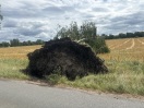 Foto: Sturmschaden  