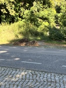 Foto: Grünabfälle an der Straße  