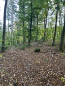 Foto: Moorbad Wanderweg  