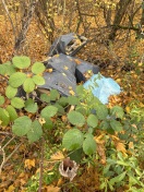 Foto: Blaue Säcke im Gebüsch 