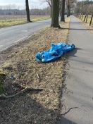 Foto: Müllsäcke am Straßenrand  