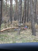 Foto: Müll im Wald  