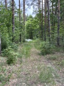 Foto: Müll 