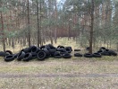 Foto: Altreifen im Wald entsorgt 