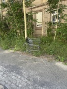 Foto: Kauflandeinkaufswagen 