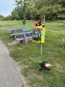 Foto: Hundetüten in Abfallbehälter und daneben  
