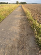 Foto: verschmutzter Weg 