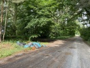 Foto: Entsorgung Gartenmüll 