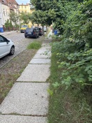 Foto: Bewuchs ragt in Weg 