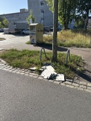 Foto: Baumüll  
