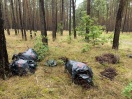 Foto: Illegale Müllentsorgung 
