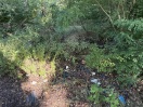 Foto: Alte Dachabdeckung? 