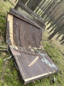 Foto: Alte Türen im Wald 