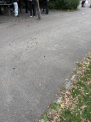 Foto: Glasscherben im gesamten Spielplatz verteilt  