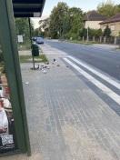 Foto: Mülleimer geplündert  