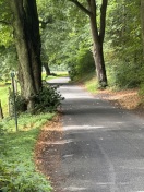 Foto: Beeinträchtigung des Lichtraumprofils gemäß § 32 StVO i. V. m. den Richtlinien für passiven Schutz an Straßen – Ortsverbindung Binenwalde – Gühlen-Glienicke 
