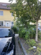 Foto: Rückschnitt Strauch, Grüninsel Höhe Haus-Nr. 24C 