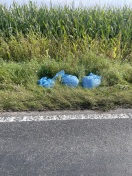 Foto: Sperrmüll Landstraße Molkenberg - Beerfelde 
