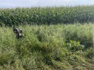 Foto: Sperrmüll Molkenberg - Beerfelde Landstraße 3 