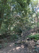 Foto: Kanalauenweg - Sturmschaden  