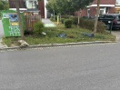 Foto: Müll 