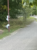 Treuenbrietzen: Erneute Beschädigung von AfD Plakaten in Frohnsdorf   Foto: Erneute Beschädigung von AfD Plakaten in Frohnsdorf