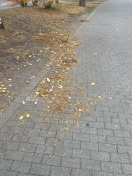 Foto: Keine Gehwegreinigung 