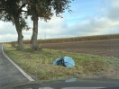 Foto: Müll am Strassenrand 