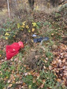 Foto: Illegale Müllentsorgung 