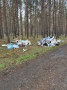 Foto: Müllhaufen im Wald 