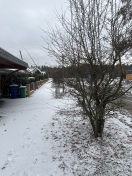 Foto: Planzen schneiden  