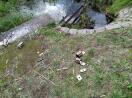 Foto: Müll und Dreck Nordpromenade  