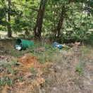 Foto: Wilde Deponie  
