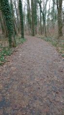 Foto: Radweg zwischen Kiekebuscher Wehr und Madlower Badesee hochgradig verschmutzt! 