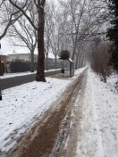 Foto: Weihnachtsbaum auf Haltestelle 