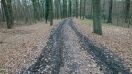 Foto: Spreedamm zwischen Branitz und Tangente ist unpassierbar 
