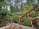 Foto: Sturmschaden / Defekt 