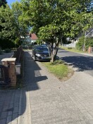 Foto: Parken in der Rabatte  