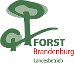 Abbildung Logo Landesbetrieb Forst Brandenburg grüner Baum